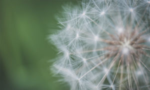 Huis verkopen tijdens het coronavirus