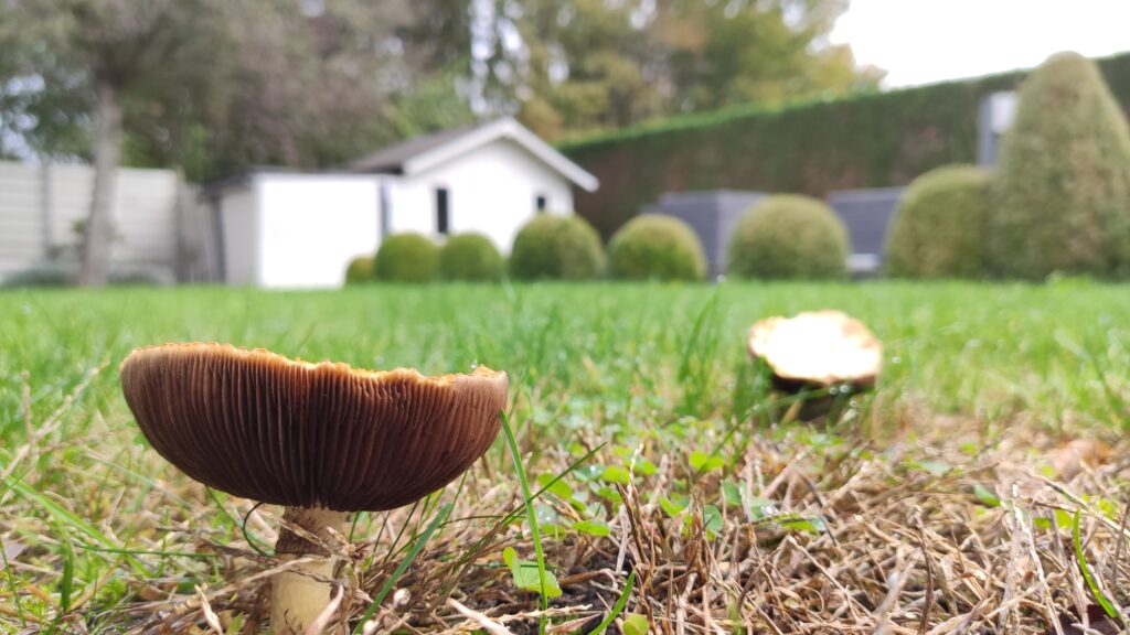 Huis verkopen in de herfst periode